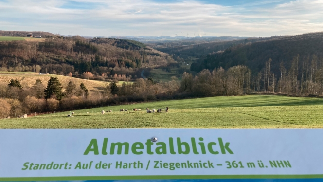 Blick über das Almetal © Touristikzentrale Paderborner Land / N. Pinke